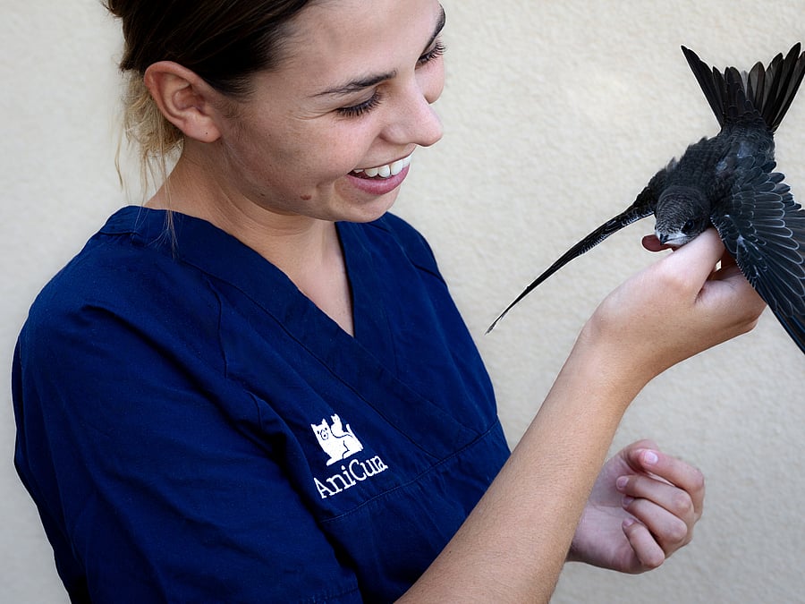 Anicura Kleintierzentrum Ludwigshafen - Dr. Inge Und Jens Freund Kleintierzentrum Lörrach | AniCura Deutschland | AniCura Lörrach